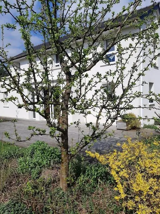 Vakantiehuis Decouvrir Le Finistere Depuis Ma Maison Lumineuse Calme Et Zen Landerneau